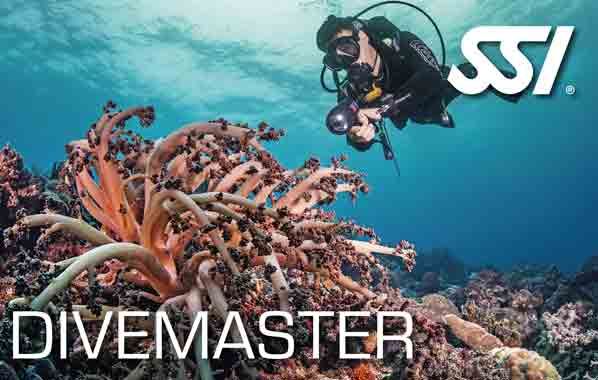 divemaster.jpg