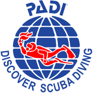 padi dsd.png